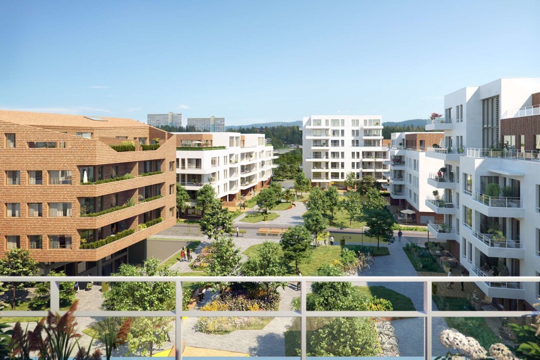 HALVERE: Styret vil halvere utbyttet for første halvår. HALVERE: Styret vil halvere utbyttet for første halvår.