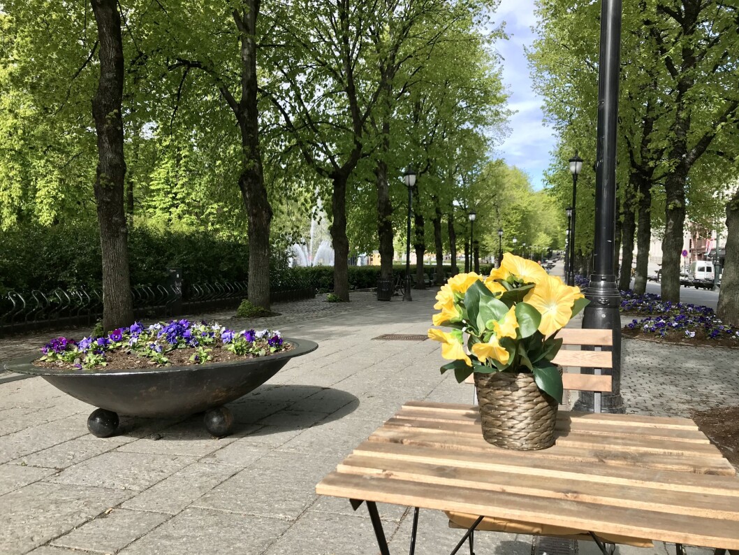 STRÅLENDE: – Dette er jo helt strålende. Det er godt å høre at fornuften råder, sier direktør Jon Anders Henriksen i OHF etter at PBE snudde i saken. Foto: Tore Årdal STRÅLENDE: – Dette er jo helt strålende. Det er godt å høre at fornuften råder, sier direktør Jon Anders Henriksen i OHF etter at PBE snudde i saken. Foto: Tore Årdal