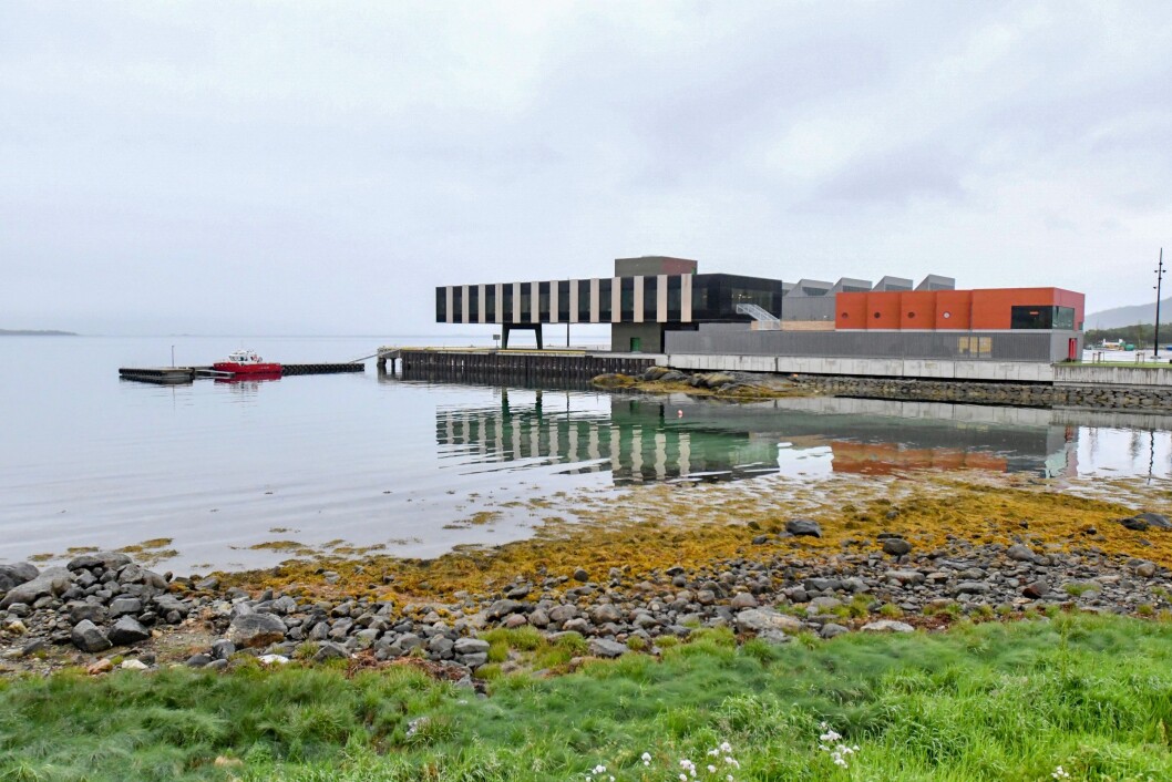 BEST: Fiskebruket Holmen i Vesterålen stakk i helgen av med pris. Foto: Jan Eivind Fredly BEST: Fiskebruket Holmen i Vesterålen stakk i helgen av med pris. Foto: Jan Eivind Fredly