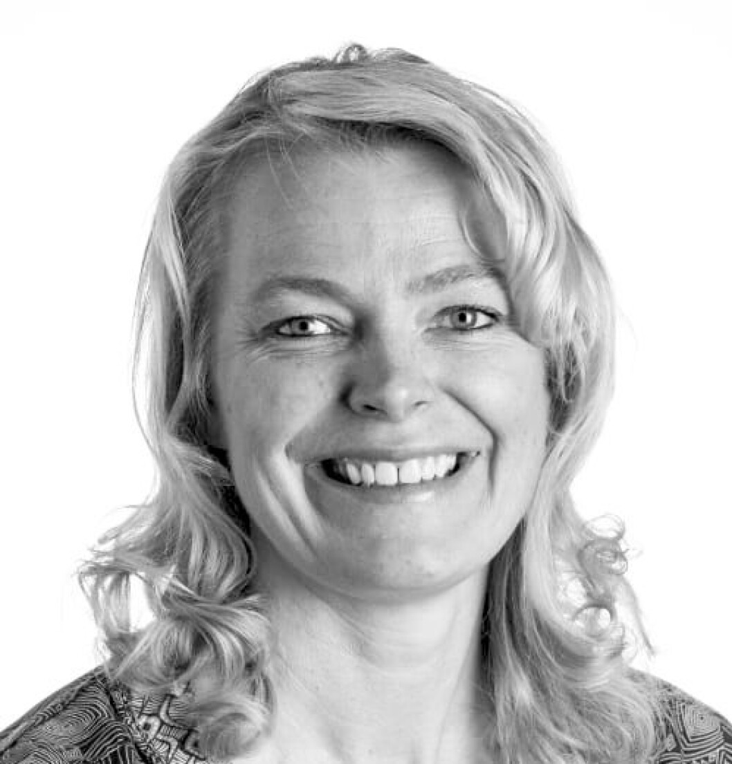 NY DIREKTØR: Thora Heieraas ansatt som direktør for ny divisjon i Norconsult. NY DIREKTØR: Thora Heieraas ansatt som direktør for ny divisjon i Norconsult.