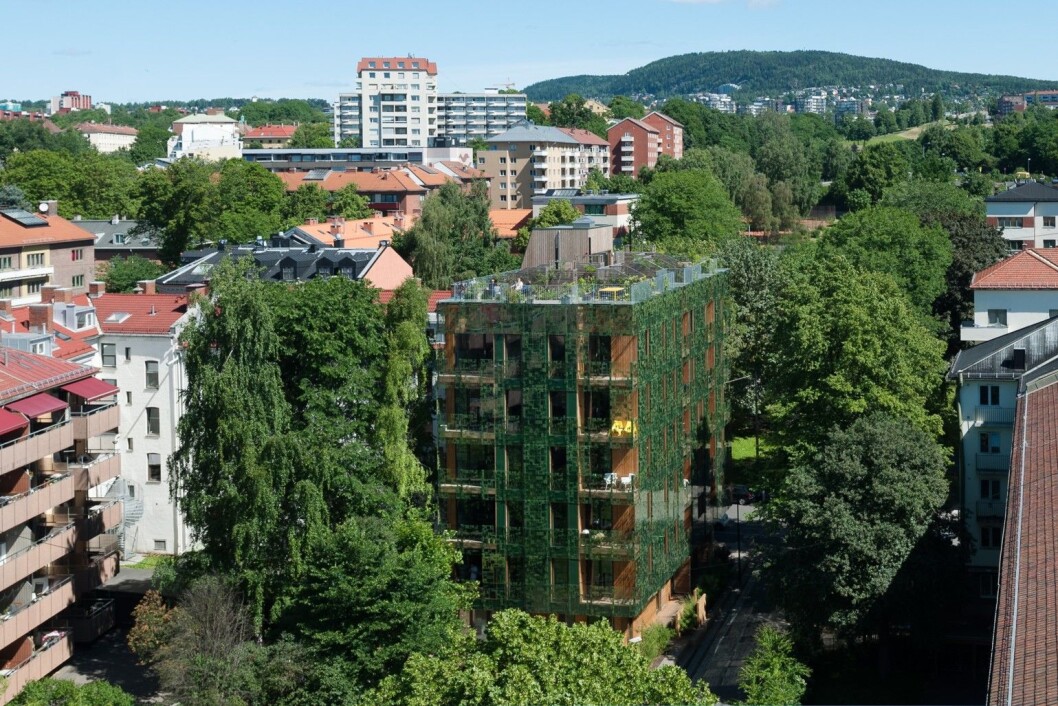 FRODIG: - Taket er utnyttet til en vakker og frodig felles takhage som har blitt et sosialt møtested for naboer og venner, uttaler juryen om D36 – Green House. Foto: Finn Ståle Felberg FRODIG: - Taket er utnyttet til en vakker og frodig felles takhage som har blitt et sosialt møtested for naboer og venner, uttaler juryen om D36 – Green House. Foto: Finn Ståle Felberg