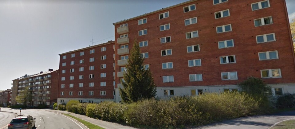 UTFORDRINGER: Det var i en leilighet på Torshov at veggdyrene skapte problemer. Foto: Google Street View. UTFORDRINGER: Det var i en leilighet på Torshov at veggdyrene skapte problemer. Foto: Google Street View.