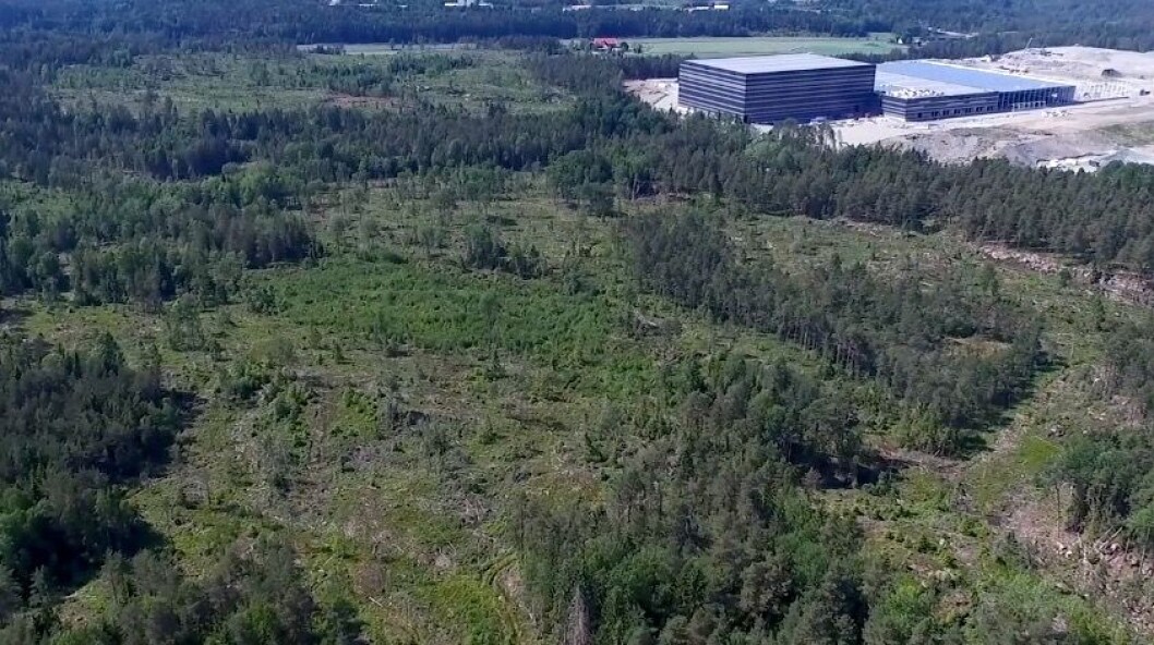 STORT: Salget av disse tomtene kan bli innbringende. Foto: Skolt Eiendom STORT: Salget av disse tomtene kan bli innbringende. Foto: Skolt Eiendom