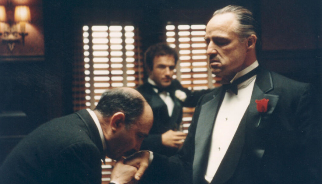 AN OFFER HE CAN`T REFUSE: Marlon Brando i rollen som Don Vito Corleone i filmen “Gudfaren”, hvor et avkuttet hestehode er midtpunkt i en sekvens. Også på Sunnmøre tas dyrehoder i bruk når revir skal markeres. AN OFFER HE CAN`T REFUSE: Marlon Brando i rollen som Don Vito Corleone i filmen “Gudfaren”, hvor et avkuttet hestehode er midtpunkt i en sekvens. Også på Sunnmøre tas dyrehoder i bruk når revir skal markeres.