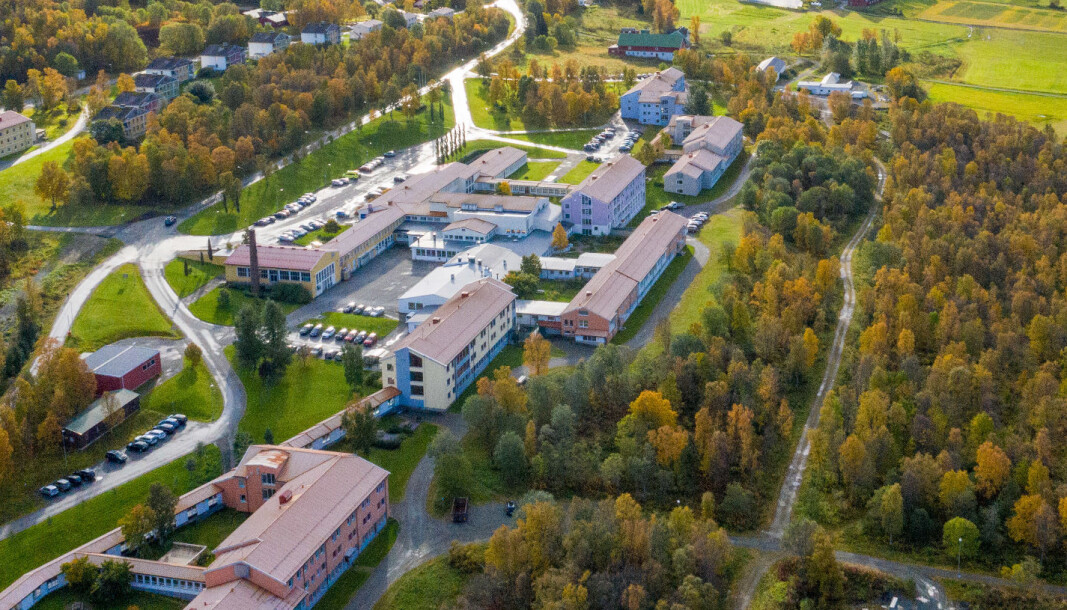 SELGES: Åsgårdmarka skal nå avhendes - 160 mål. SELGES: Åsgårdmarka skal nå avhendes - 160 mål.