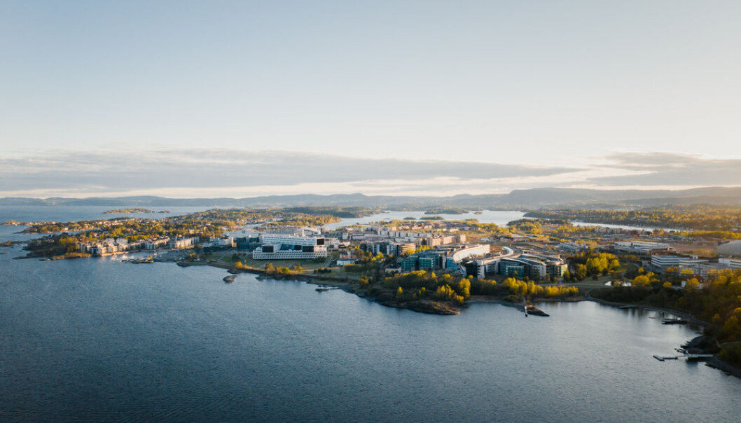 STORE PLANER: Selvaag AS har store planer på Fornebu. Fornebu Brygge får en beliggenhet helt ytterst mot sjøen. STORE PLANER: Selvaag AS har store planer på Fornebu. Fornebu Brygge får en beliggenhet helt ytterst mot sjøen.