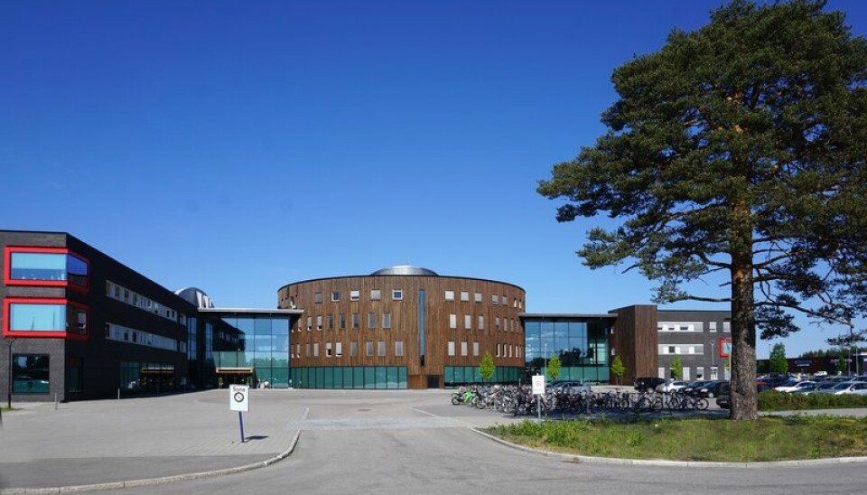 GIGANTDEAL: Svenske Balder Fastigheter har solgt høyskoleeiendommen i Elverum.