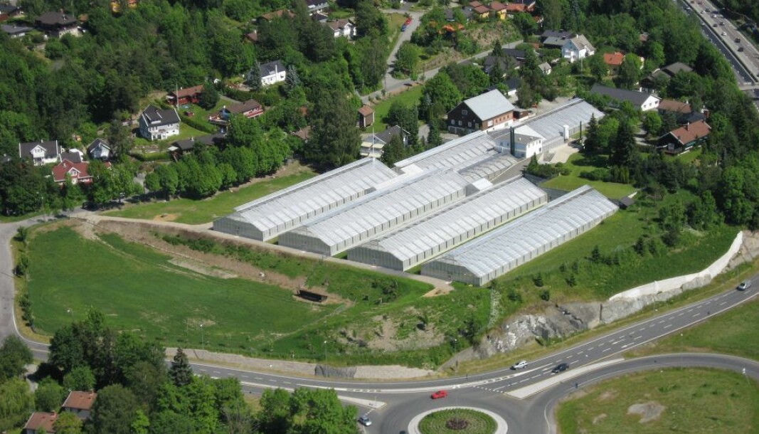 STRATEGISK: Rett ved E18 ligger denne eiendommen og venter på utvikling. STRATEGISK: Rett ved E18 ligger denne eiendommen og venter på utvikling.