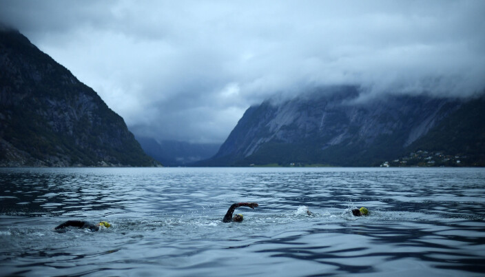 Foto: Alexander Koerner, nxtri.com Foto: Alexander Koerner, nxtri.com