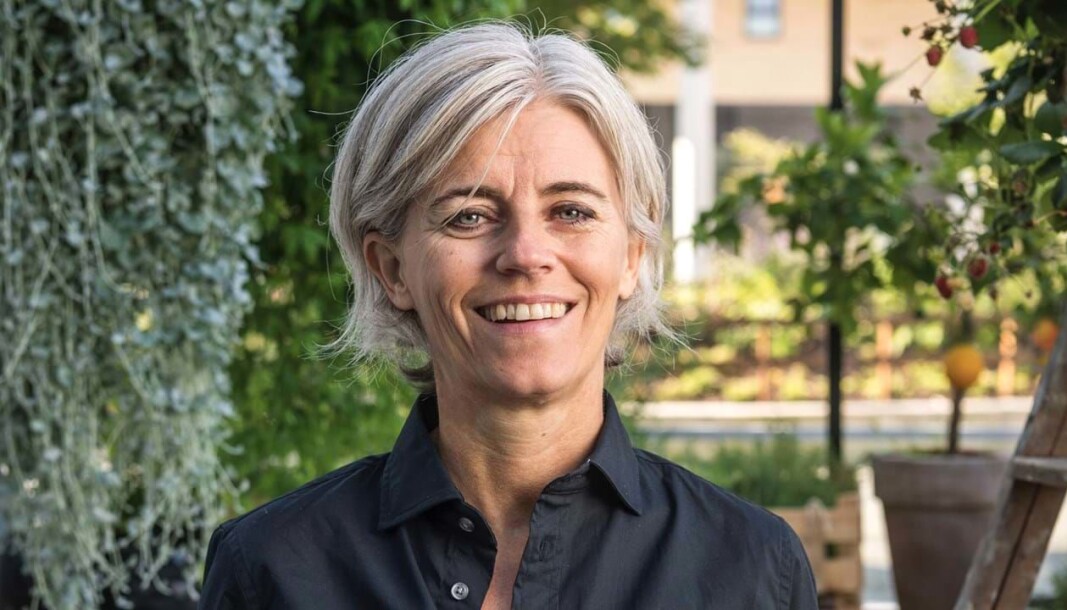FREMTID: Hanne N. Berentzen er eier/gründer i Ostehuset Øst i Stavanger og styreleder i Stavanger Næringsforening. FREMTID: Hanne N. Berentzen er eier/gründer i Ostehuset Øst i Stavanger og styreleder i Stavanger Næringsforening.