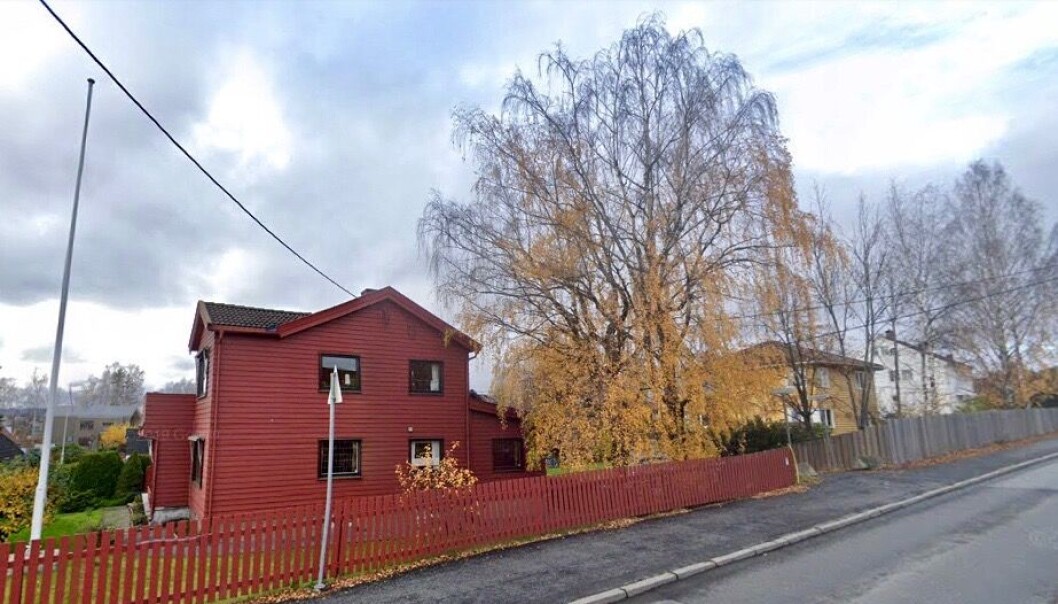 REDD FOR KONSEKVENSENE: Store grener fra de to trærne hadde falt ned, og huseieren var redd for at mennesker eller hus skulle bli skadet. REDD FOR KONSEKVENSENE: Store grener fra de to trærne hadde falt ned, og huseieren var redd for at mennesker eller hus skulle bli skadet.