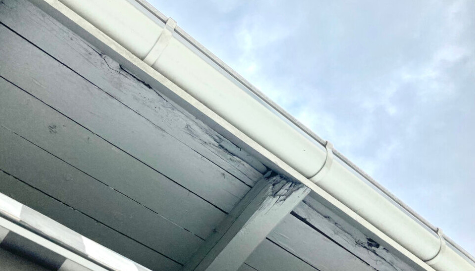 RÅTE: Småbruket i Vestfold så pent ut på utsiden, men straks etter overtakelsen ble det oppdaget store mengder med sopp og råte. Eierskifteselskapet avviste at det var grunn til prisavslag, men ble overkjørt av Finansklagenemnda. (Ill. foto) RÅTE: Småbruket i Vestfold så pent ut på utsiden, men straks etter overtakelsen ble det oppdaget store mengder med sopp og råte. Eierskifteselskapet avviste at det var grunn til prisavslag, men ble overkjørt av Finansklagenemnda. (Ill. foto)