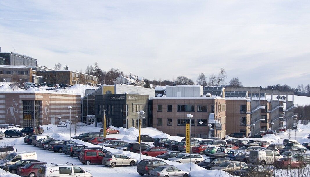 SOLGT: Siva Fakkelgården. SOLGT: Siva Fakkelgården.