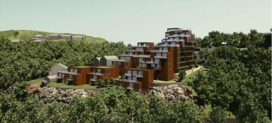 Har planer om terrasserte blokker i Oslo syd