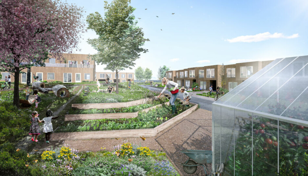 NRE/FEARNLEY-PROSJEKT: – Dette er et spennende prosjekt, hvor vi skal utvikle et attraktivt boligområde ved å utnytte eiendommens fantastiske natur, sol- og utsiktsforhold, sier NRE-sjef Allan Sønderbæk.