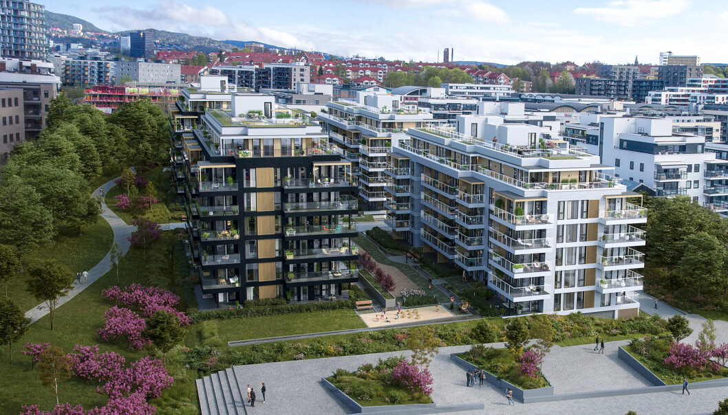 KRITISK: Ifølge Profier vil en utsettelse på 5 måneder være kritisk for prosjektet, som omfatter 203 boliger. KRITISK: Ifølge Profier vil en utsettelse på 5 måneder være kritisk for prosjektet, som omfatter 203 boliger.