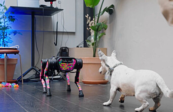 Robothunden som skal hjelpe byggene