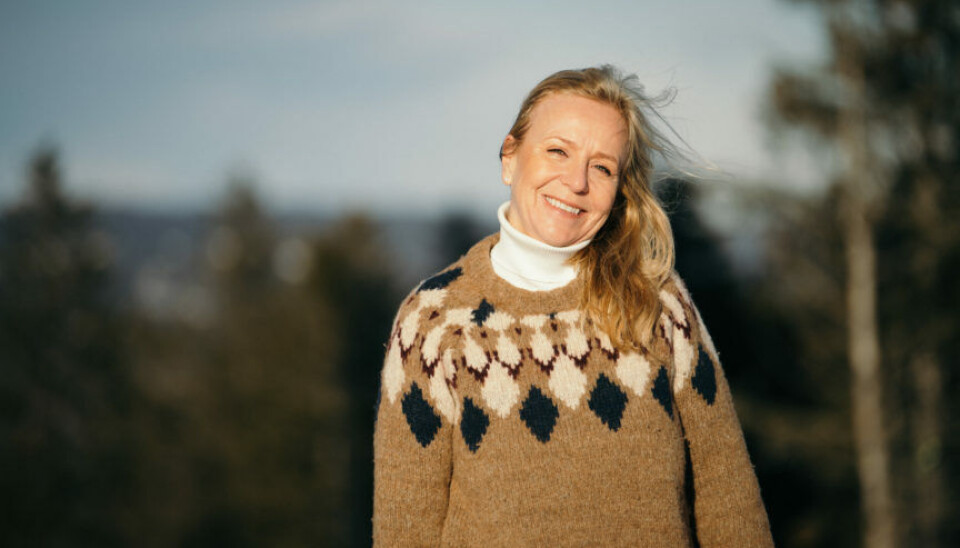 BEDRING: Tone C. Krange i DNB melder om et hyttemarked som er på vei opp igjen. BEDRING: Tone C. Krange i DNB melder om et hyttemarked som er på vei opp igjen.