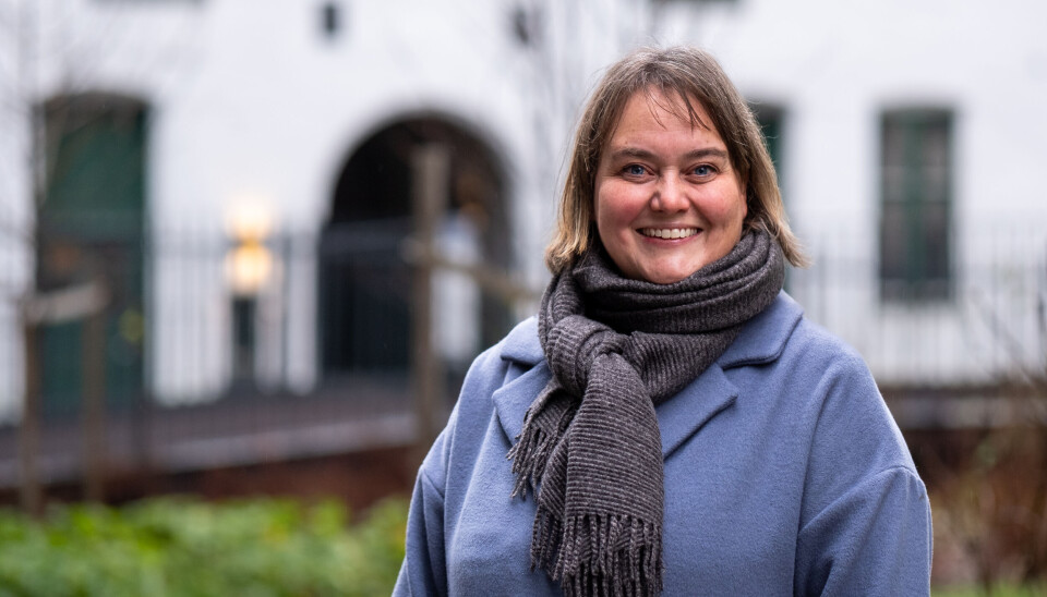 NY: Ellen Hole blir hovedstadens nye byantikvar når hun tar over etter Janne Wilberg. NY: Ellen Hole blir hovedstadens nye byantikvar når hun tar over etter Janne Wilberg.