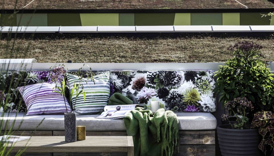 HYGGE: Det skal ikke mye til for å skape hygge ute. Litt møbler og blomster er en god start. HYGGE: Det skal ikke mye til for å skape hygge ute. Litt møbler og blomster er en god start.