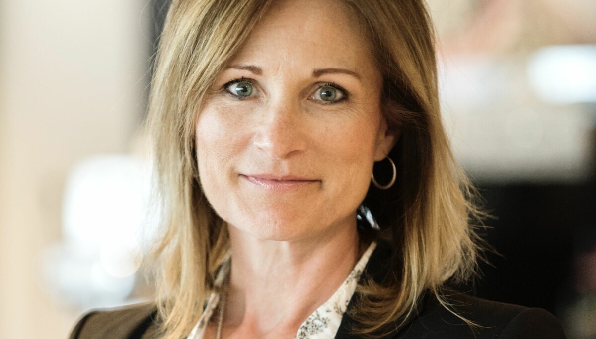 Susan Hagerty Bonsak, new CEO of Placewise Group