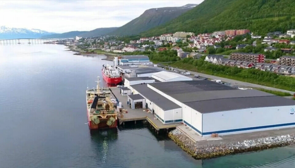 UTVIDER: Planinitiativet viser en stor utvidelse av fryseterminalen som ligger like sør for brua over Tromsøsundet.