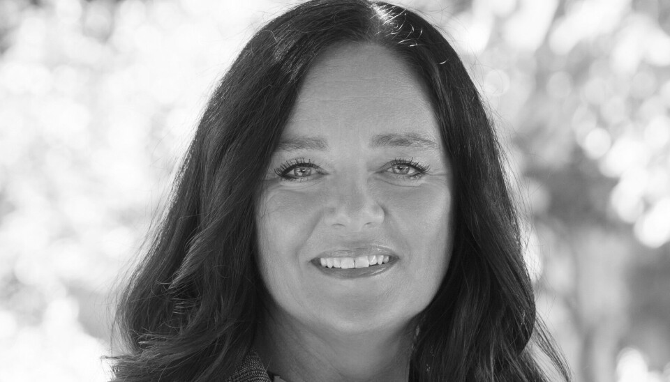 KOMMERSIELL: Adm. direktør Grethe Haugland i Link Arkitekter.