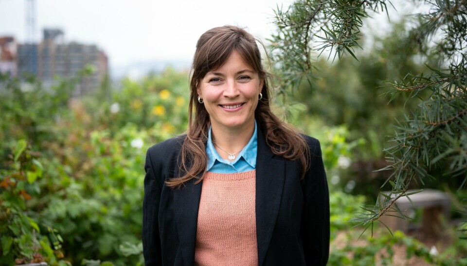 BIDRAR MED VERDIER: - Trær som har vokst og utviklet seg over mange år, bidrar med svært mange verdier til sine omgivelser. Dette er noe som kan være lett å glemme i en diskusjon om ønsket sol på terrassen, sier Marie Hallandvik Hortemo, prosjektleder for Oslotrær i Plan- og bygningsetaten i Oslo kommune.