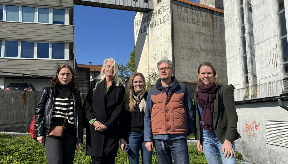 RASK PROSESS: De tre selskapene som har jobbet med storosjektet. Fra venstre: Sabina Brunstein (SAAHA), Alice Bigom (ABO Plan og Arkitektur), Mairin Walner (SAAHA), Mikael Hesslund (SAAHA) og Inger Hageberg (Smedsvig landskapsarkitekter)