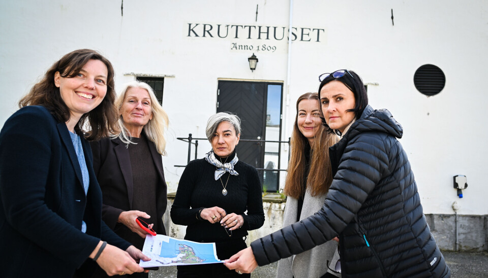 ABO-TEAMET: Et stort team fra ABO Plan & Arkitektur har og skal jobbe med prosjektet. Fra Venstre: Åshild Blomdal (prosjektleder reguleringsplan), Alice Bigom (siv.arkitekt), Aleksandra Kurzynska-Janiszewska (assisterende prosjektleder), Zuzana Kerulova (siv.arkitekt) og Birute Pacaityte (Ingeniør og BIM-koordinator).(Foto: ABO Plan & Arkitektur)