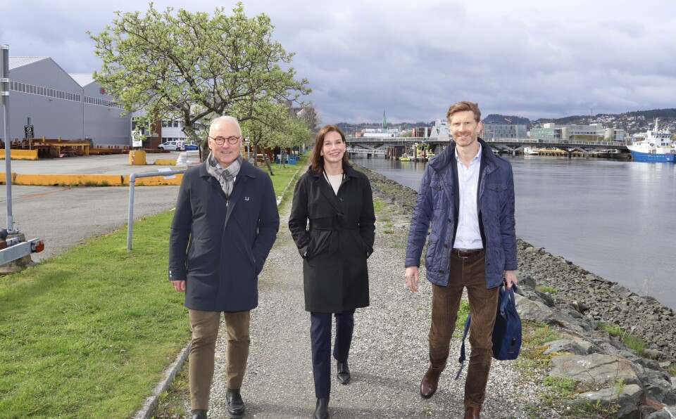 STOR JOBB I NYHAVNA: Knut Efskin, Mai Susegg og Jan Håvard Valstad i EiendomsMegler 1 Midt-Norge. Knut Efskin, Mai Susegg, Jan Håvard Valstad. Foto: Glen Widing