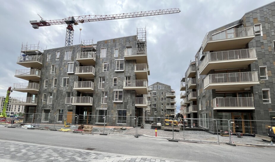 Lokale boligutviklere når ikke de store til knærne