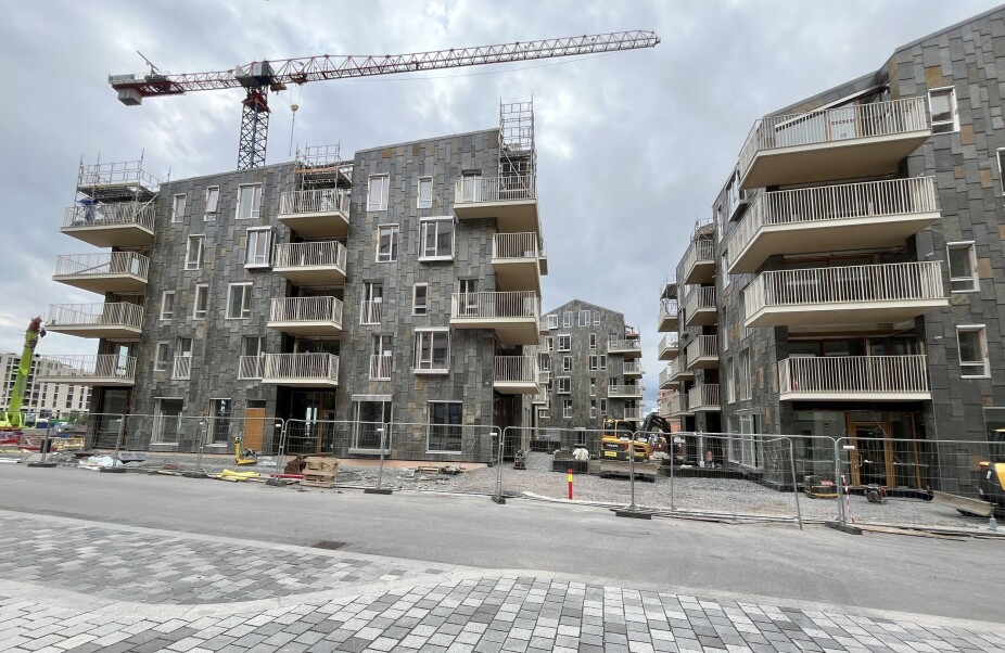 Lokale boligutviklere når ikke de store til knærne