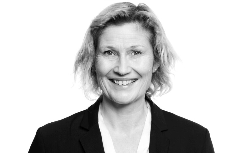 Borettslagsmodellen: Her er Bjørkholts forslag for å skåne boligutbygging