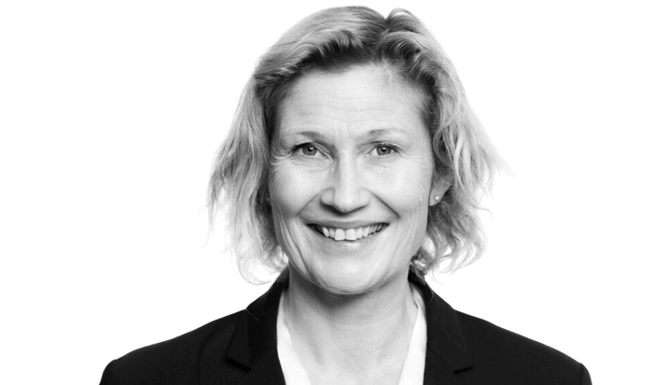 Borettslagsmodellen: Her er Bjørkholts forslag for å skåne boligutbygging