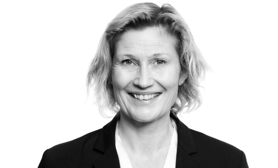 Borettslagsmodellen: Her er Bjørkholts forslag for å skåne boligutbygging