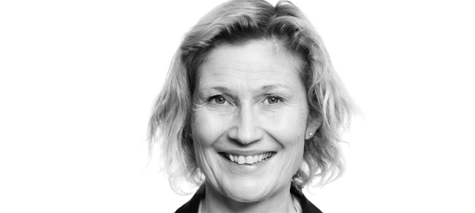 Borettslagsmodellen: Her er Bjørkholts forslag for å skåne boligutbygging