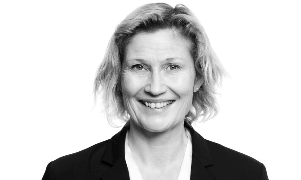 Borettslagsmodellen: Her er Bjørkholts forslag for å skåne boligutbygging