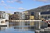 Tromsø Vervet. Foto: Glen Widing