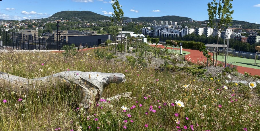 Økern Portal har verdens beste takhage