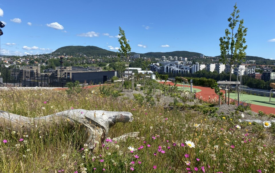 Økern Portal har verdens beste takhage