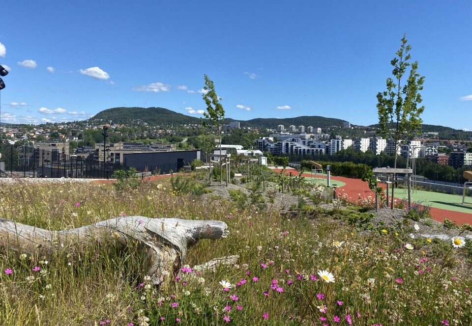 Økern Portal har verdens beste takhage