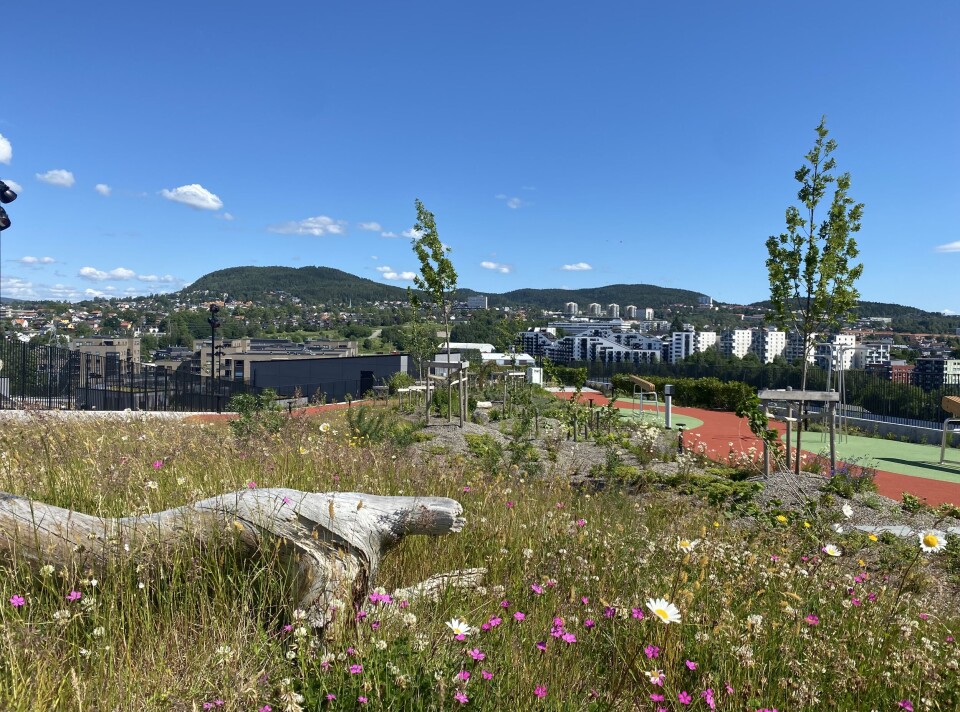 Økern Portal har verdens beste takhage