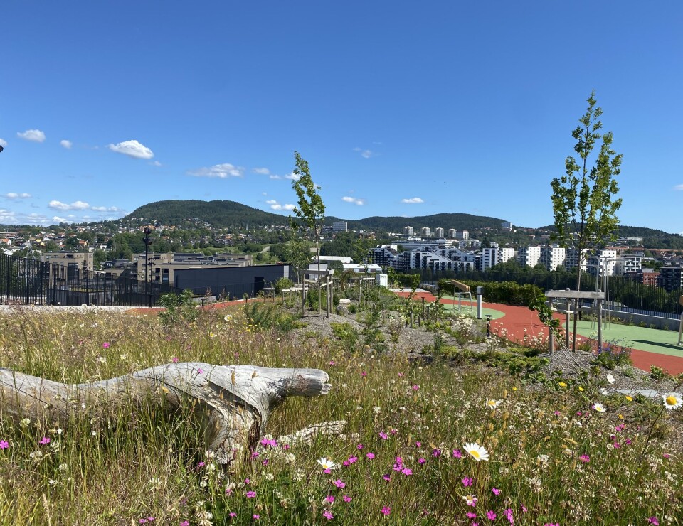 Økern Portal har verdens beste takhage