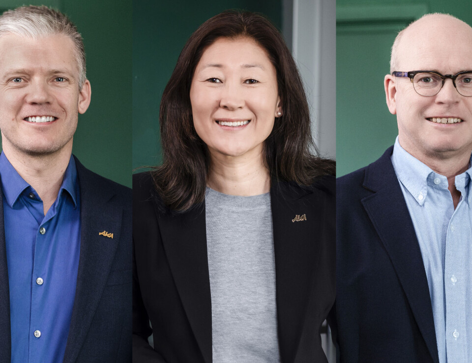 Pilene peker oppover for AKA